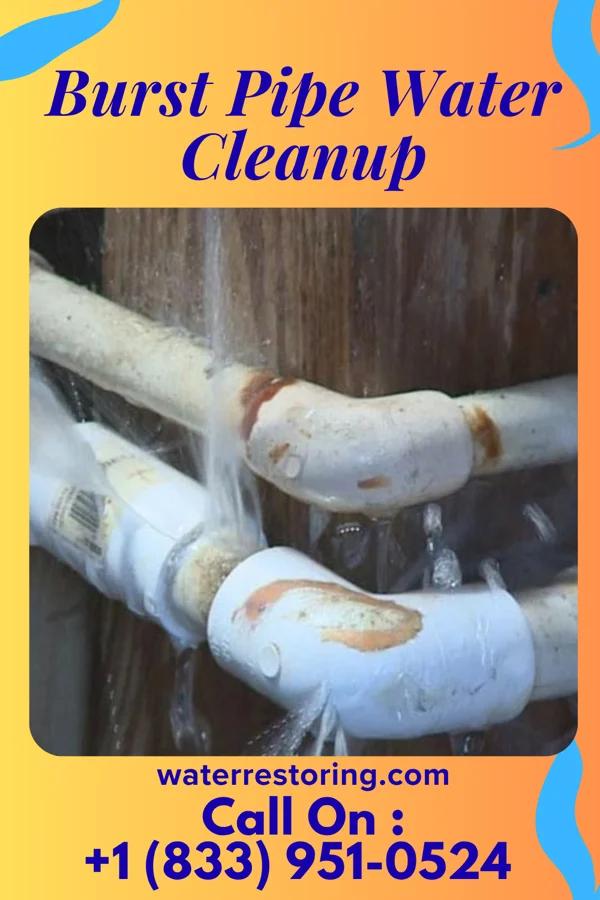 Burst Pipe Water Cleanup in Wintersville, OH