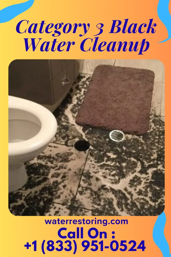 Category 3 Black Water Cleanup in Wintersville, OH