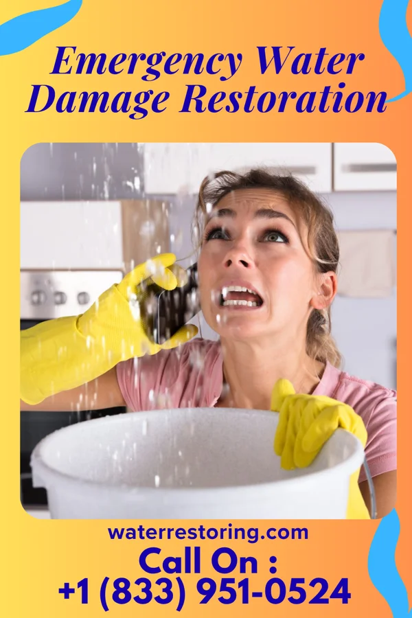 Emergency Water Damage Restoration in Wintersville, OH