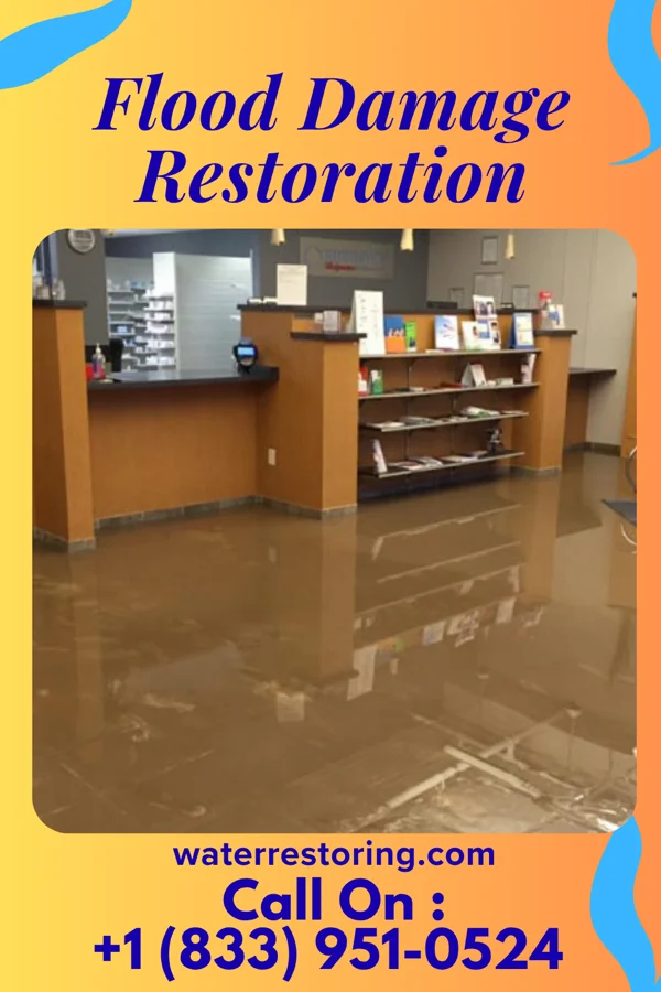 Flood Damage Restoration in Wintersville, OH