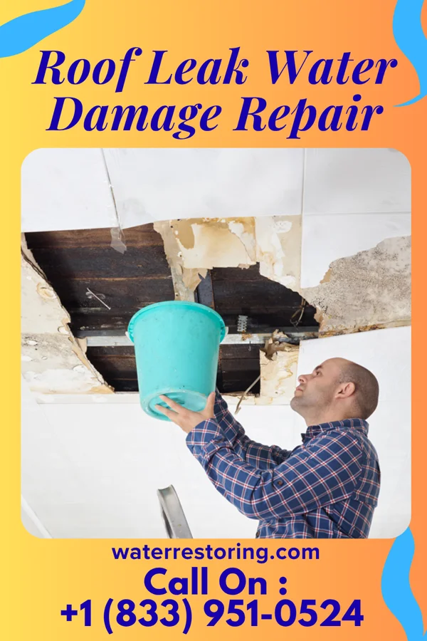 Roof Leak Water Damage Repair in Wintersville, OH