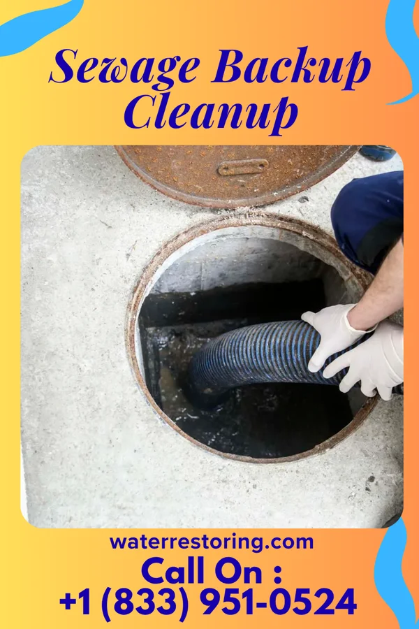 Sewage Backup Cleanup in Wintersville, OH