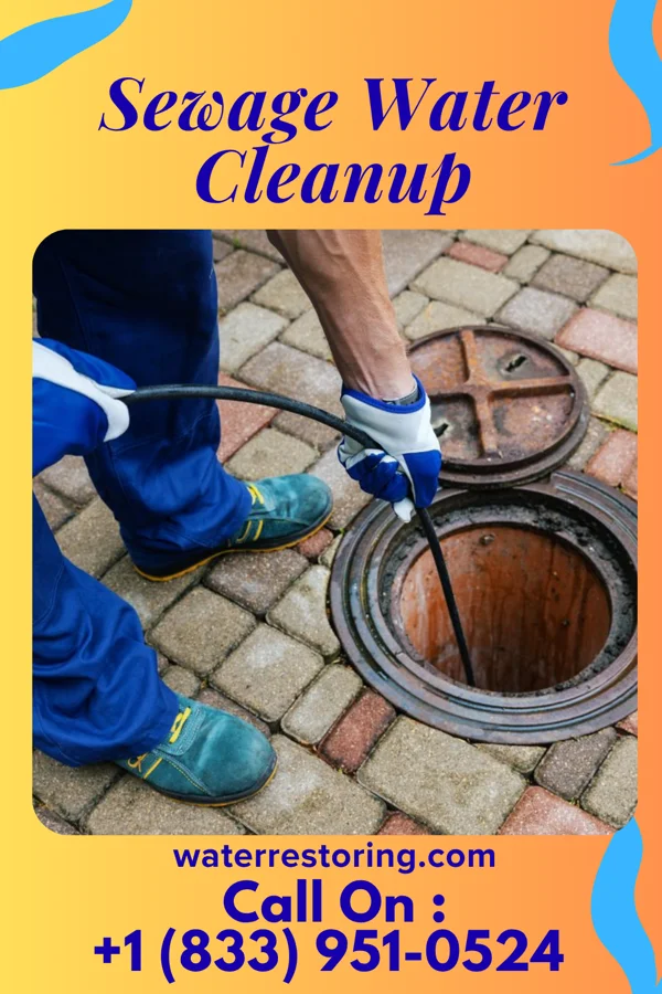 Sewage Water Cleanup in Wintersville, OH