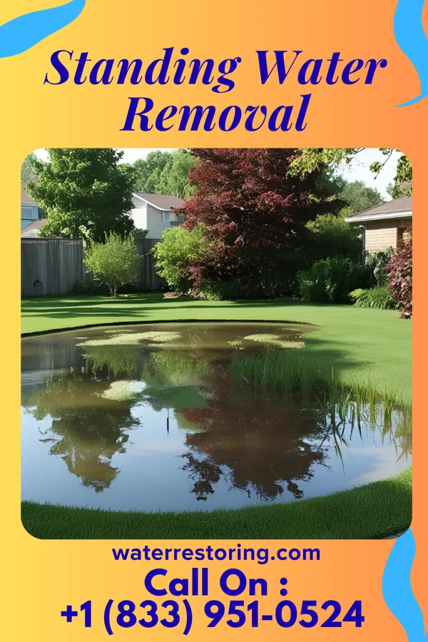 Standing Water Removal in Wintersville, OH